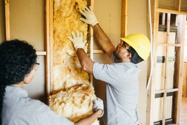 Best Wall Insulation Installation  in Southwest Sandhill, TX